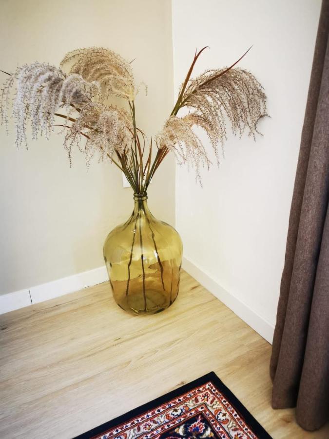Vida Y Mar Apartamentos Пеніскола Екстер'єр фото